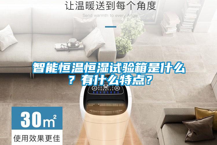智能恒溫恒濕試驗箱是什么？有什么特點？