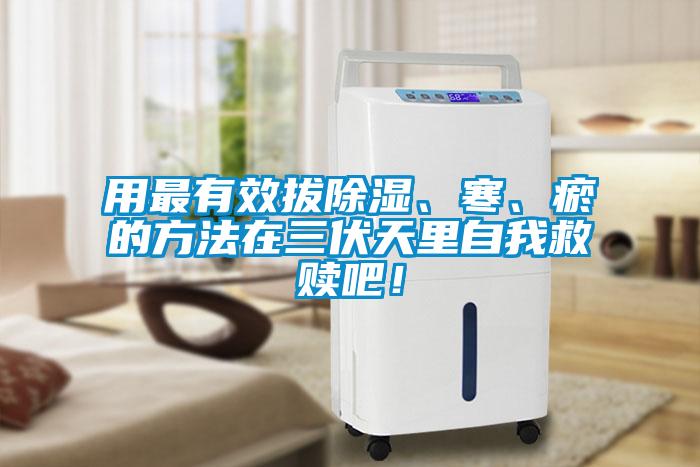 用最有效拔除濕、寒、瘀的方法在三伏天里自我救贖吧！