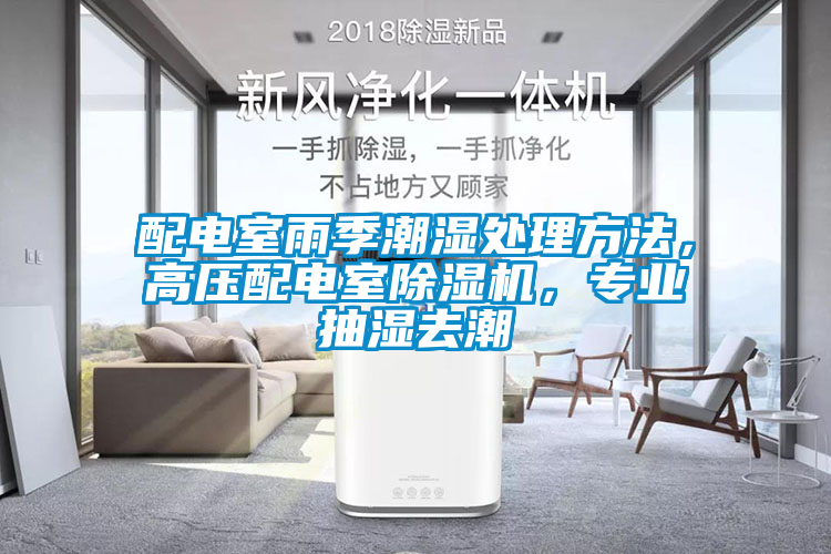 配電室雨季潮濕處理方法，高壓配電室除濕機，專業(yè)抽濕去潮