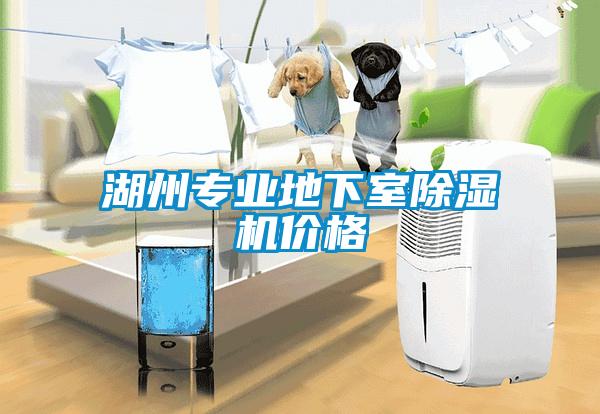 湖州專業(yè)地下室除濕機(jī)價格