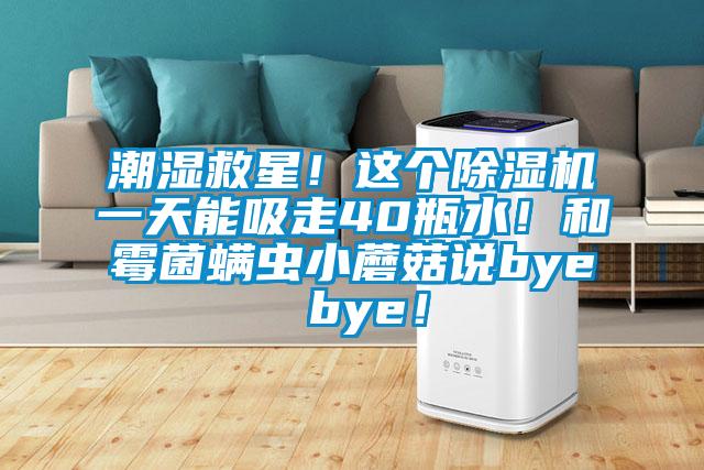潮濕救星！這個除濕機一天能吸走40瓶水！和霉菌螨蟲小蘑菇說bye bye！