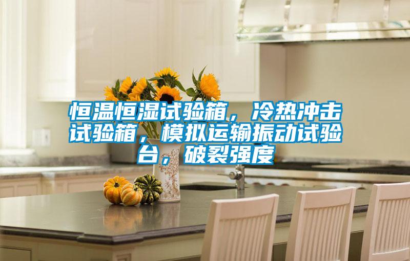 恒溫恒濕試驗箱，冷熱沖擊試驗箱，模擬運輸振動試驗臺，破裂強度