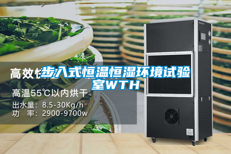 步入式恒溫恒濕環境試驗室WTH