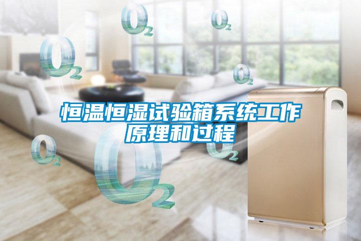恒溫恒濕試驗箱系統工作原理和過程