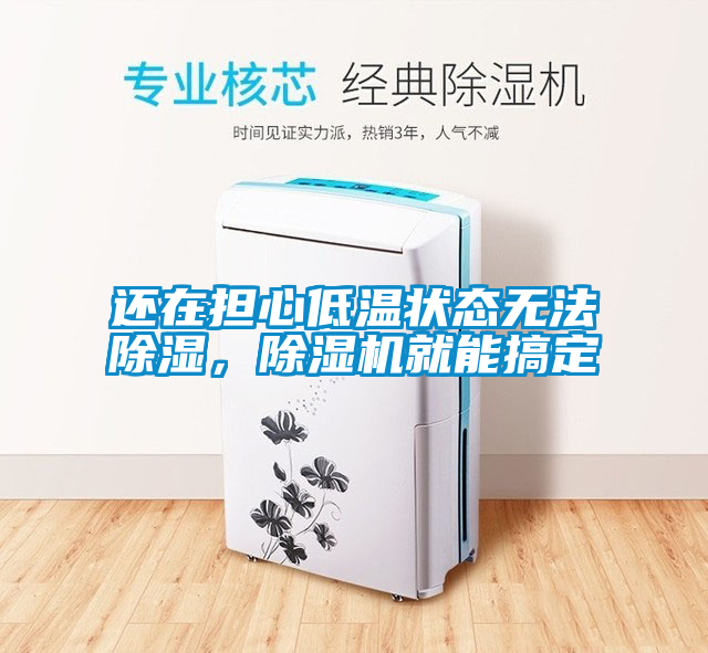 還在擔心低溫狀態無法除濕，除濕機就能搞定