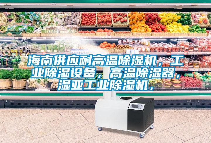 海南供應耐高溫除濕機，工業除濕設備，高溫除濕器，濕亞工業除濕機，