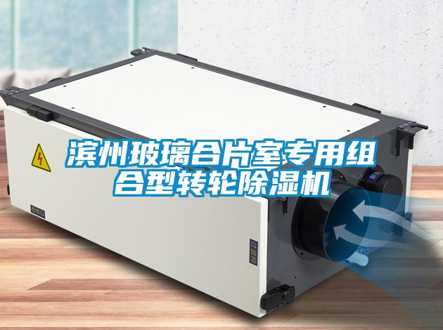 濱州玻璃合片室專用組合型轉輪除濕機