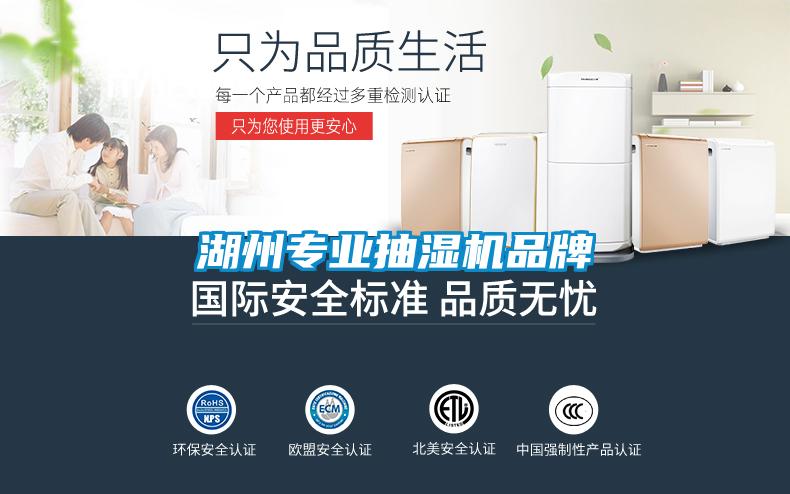 湖州專業抽濕機品牌