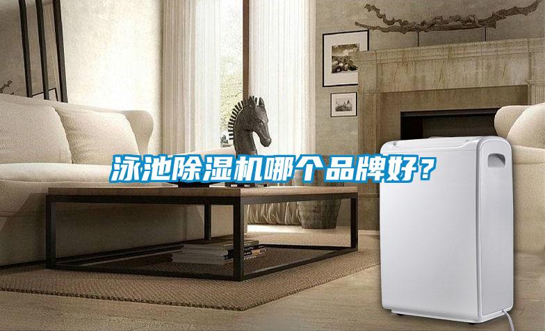 泳池除濕機哪個品牌好？