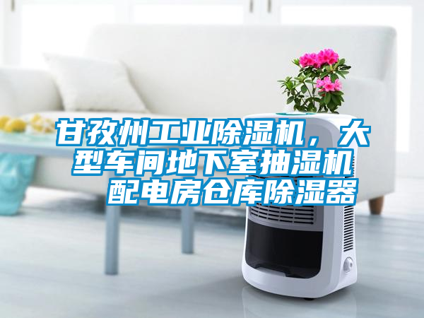 甘孜州工業(yè)除濕機(jī)，大型車間地下室抽濕機(jī)  配電房倉(cāng)庫(kù)除濕器
