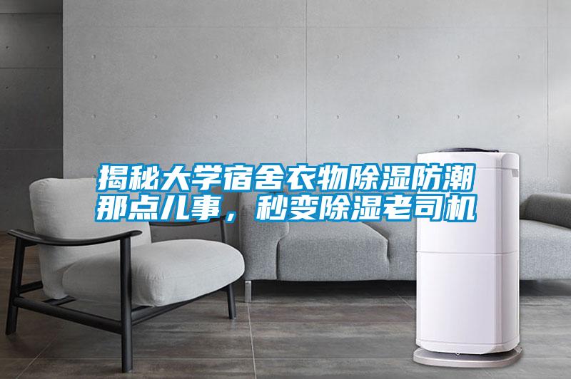 揭秘大學宿舍衣物除濕防潮那點兒事，秒變除濕老司機