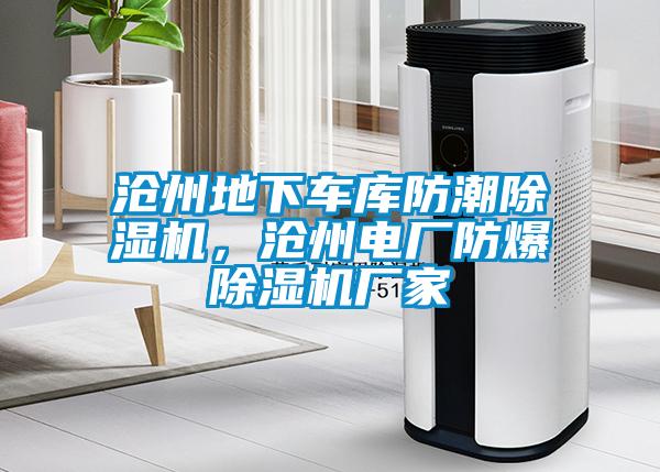 滄州地下車(chē)庫(kù)防潮除濕機(jī)，滄州電廠防爆除濕機(jī)廠家