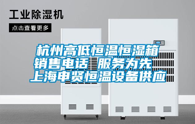 杭州高低恒溫恒濕箱銷售電話 服務為先 上海申賢恒溫設備供應
