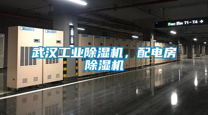 武漢工業(yè)除濕機(jī)，配電房除濕機(jī)