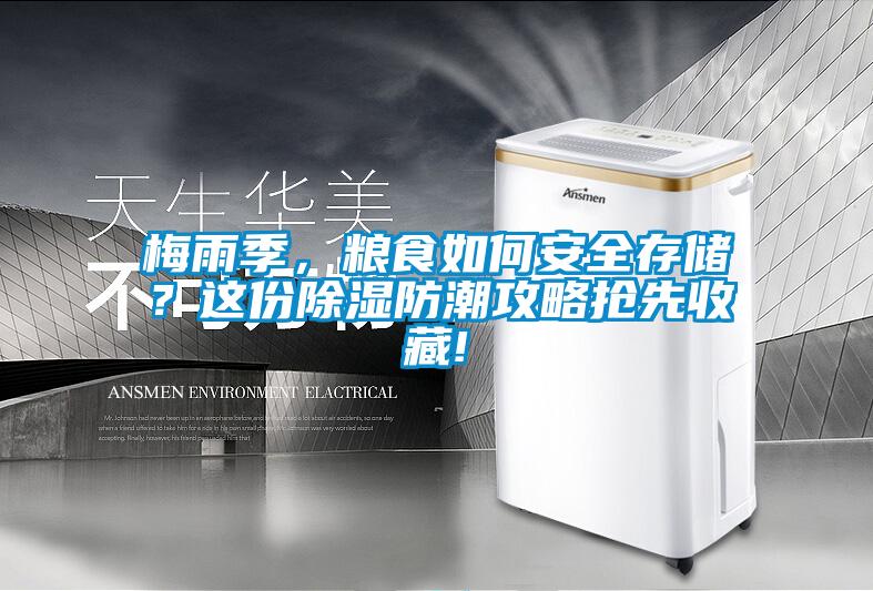 梅雨季，糧食如何安全存儲？這份除濕防潮攻略搶先收藏!