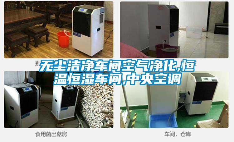 無(wú)塵潔凈車(chē)間空氣凈化,恒溫恒濕車(chē)間,中央空調(diào)