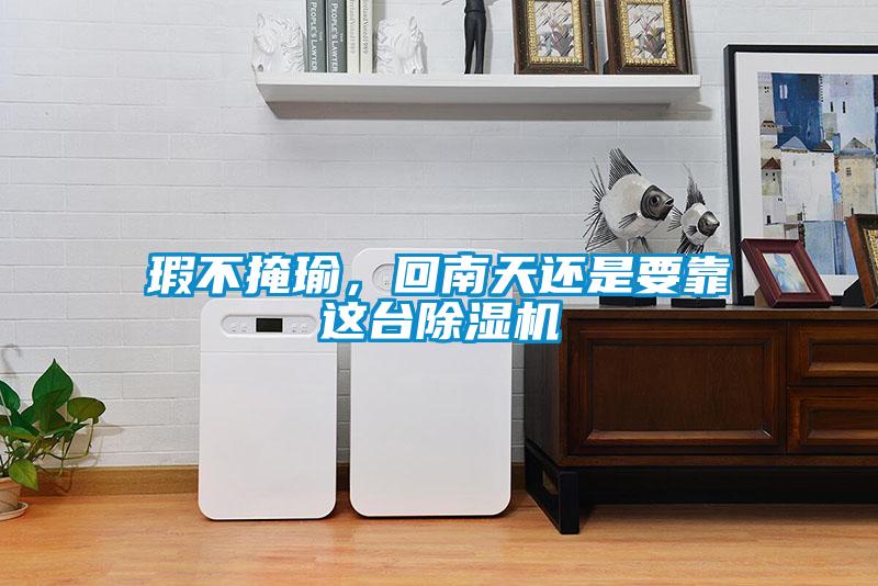 瑕不掩瑜，回南天還是要靠這臺除濕機