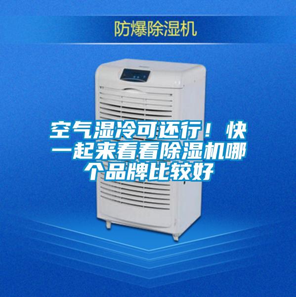 空氣濕冷可還行！快一起來看看除濕機(jī)哪個(gè)品牌比較好
