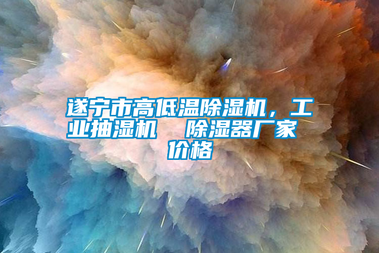 遂寧市高低溫除濕機，工業(yè)抽濕機  除濕器廠家 價格