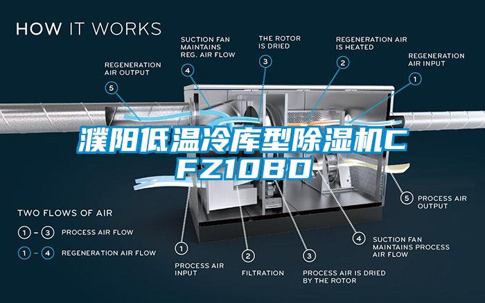 濮陽(yáng)低溫冷庫(kù)型除濕機(jī)CFZ10BD