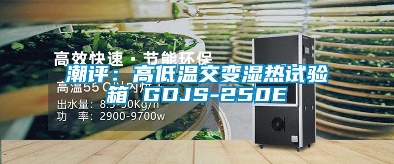 潮評：高低溫交變濕熱試驗(yàn)箱 GDJS-250E