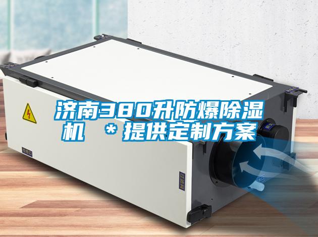 濟南380升防爆除濕機 ＊提供定制方案