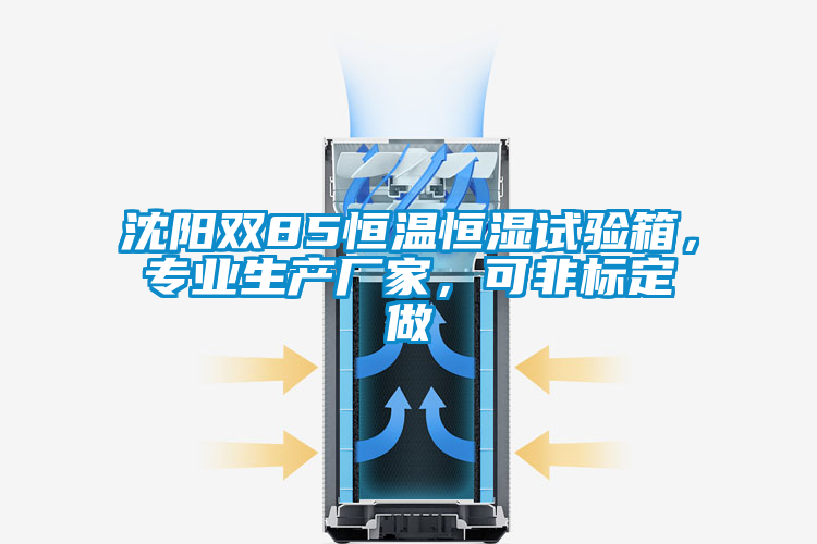 沈陽雙85恒溫恒濕試驗箱，專業(yè)生產(chǎn)廠家，可非標定做