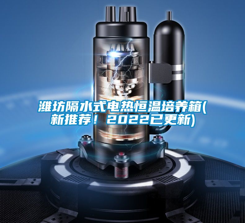 濰坊隔水式電熱恒溫培養箱(新推薦！2022已更新)