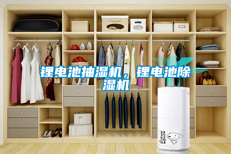 鋰電池抽濕機，鋰電池除濕機