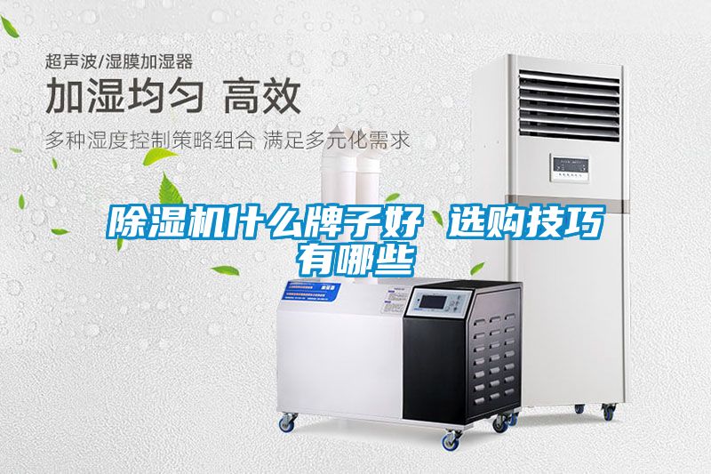 除濕機(jī)什么牌子好 選購技巧有哪些