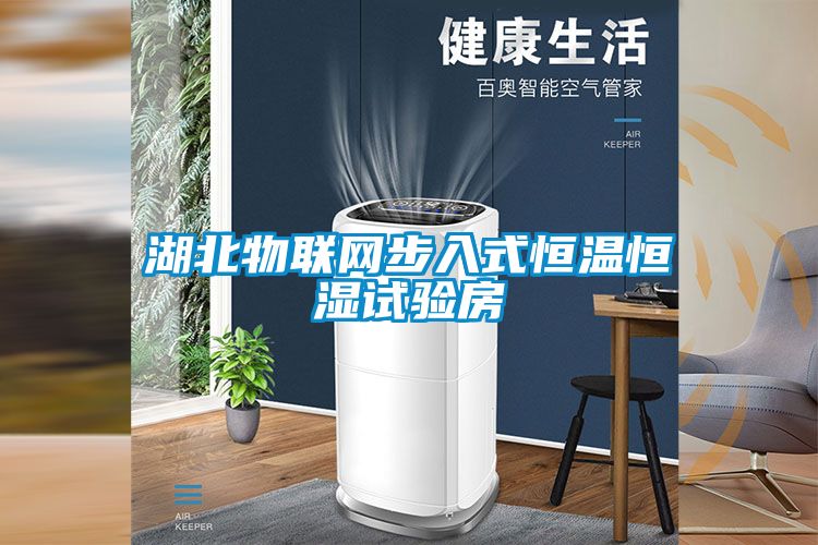 湖北物聯(lián)網(wǎng)步入式恒溫恒濕試驗(yàn)房