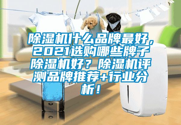 除濕機什么品牌最好，2021選購哪些牌子除濕機好？除濕機評測品牌推薦+行業分析！