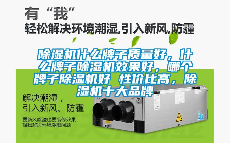 除濕機(jī)什么牌子質(zhì)量好，什么牌子除濕機(jī)效果好，哪個(gè)牌子除濕機(jī)好 性價(jià)比高，除濕機(jī)十大品牌