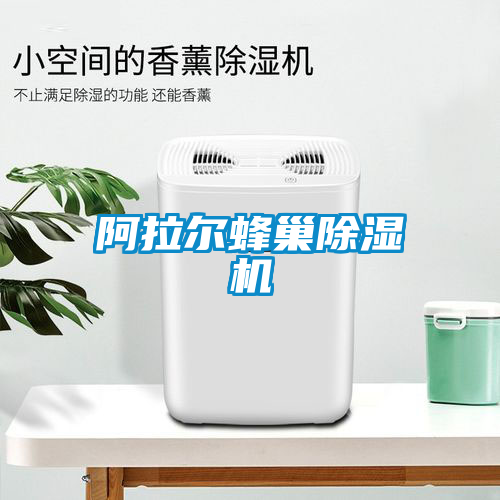 阿拉爾蜂巢除濕機
