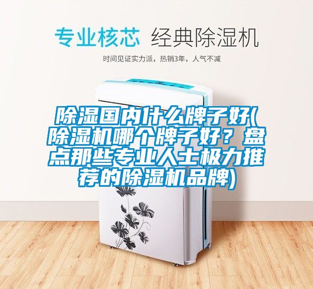 除濕國內(nèi)什么牌子好(除濕機哪個牌子好？盤點那些專業(yè)人士極力推薦的除濕機品牌)