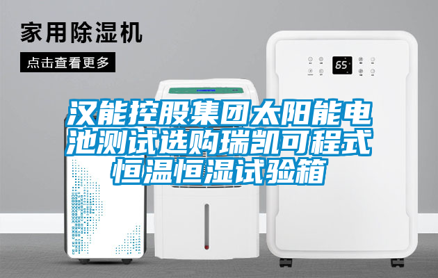 漢能控股集團(tuán)太陽能電池測(cè)試選購瑞凱可程式恒溫恒濕試驗(yàn)箱