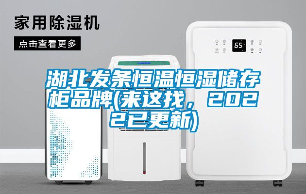 湖北發條恒溫恒濕儲存柜品牌(來這找，2022已更新)