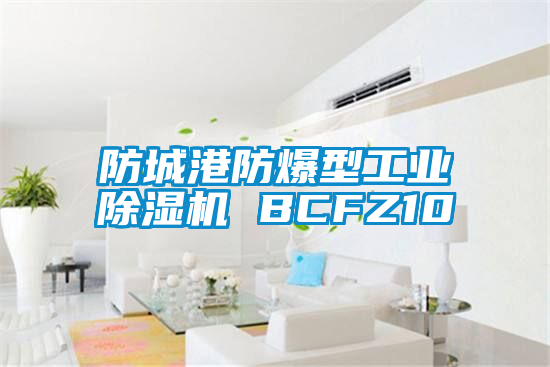 防城港防爆型工業除濕機 BCFZ10