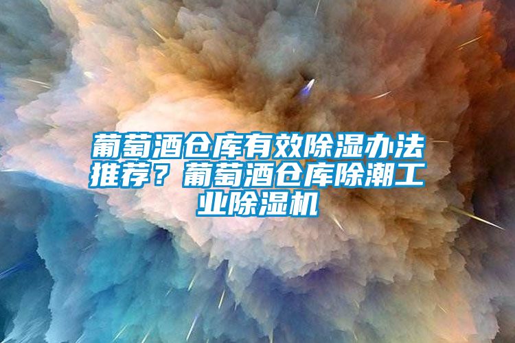 葡萄酒倉庫有效除濕辦法推薦？葡萄酒倉庫除潮工業(yè)除濕機(jī)