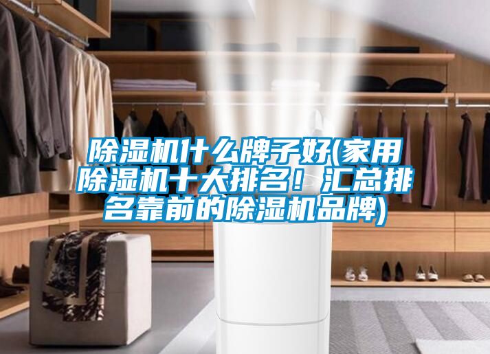 除濕機(jī)什么牌子好(家用除濕機(jī)十大排名！匯總排名靠前的除濕機(jī)品牌)