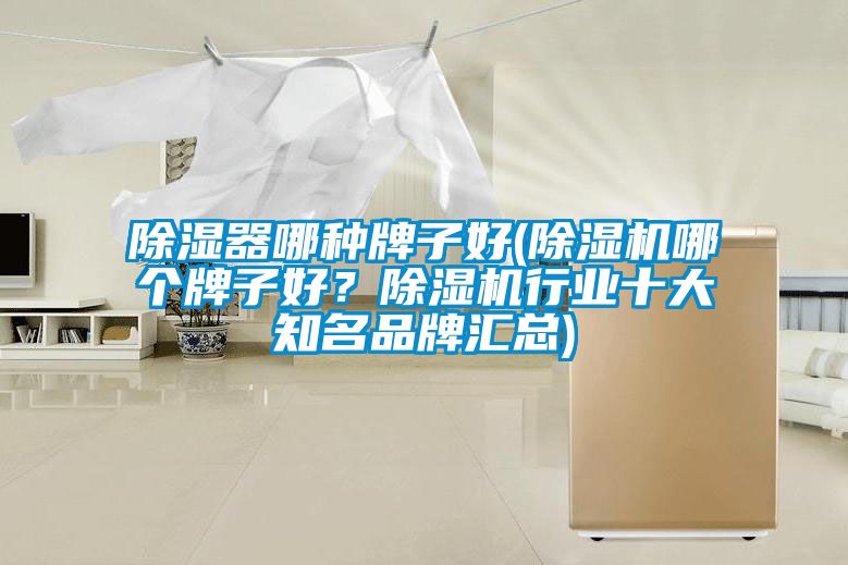 除濕器哪種牌子好(除濕機(jī)哪個(gè)牌子好？除濕機(jī)行業(yè)十大知名品牌匯總)