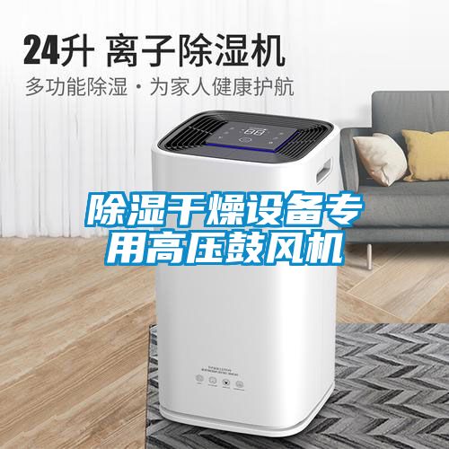 除濕干燥設備專用高壓鼓風機