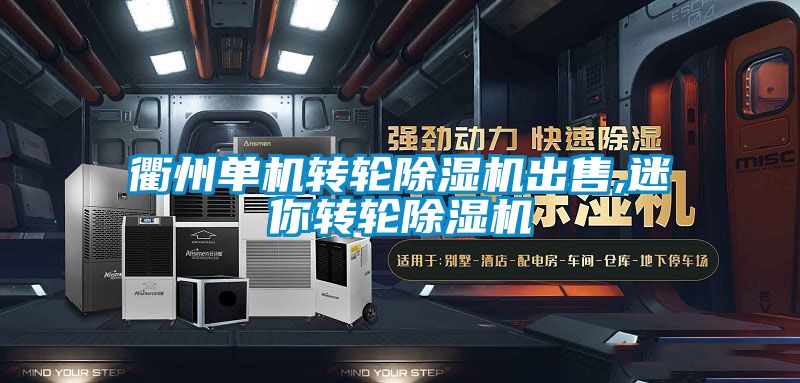 衢州單機轉輪除濕機出售,迷你轉輪除濕機