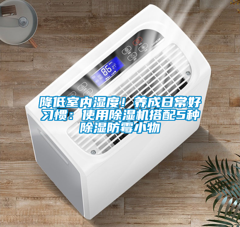 降低室內(nèi)濕度！養(yǎng)成日常好習(xí)慣：使用除濕機搭配5種除濕防霉小物