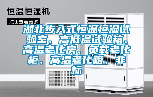 湖北步入式恒溫恒濕試驗室、高低溫試驗箱、高溫老化房、負(fù)載老化柜、高溫老化箱、非標(biāo)