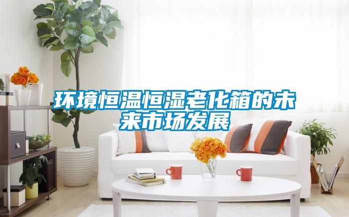 環境恒溫恒濕老化箱的未來市場發展