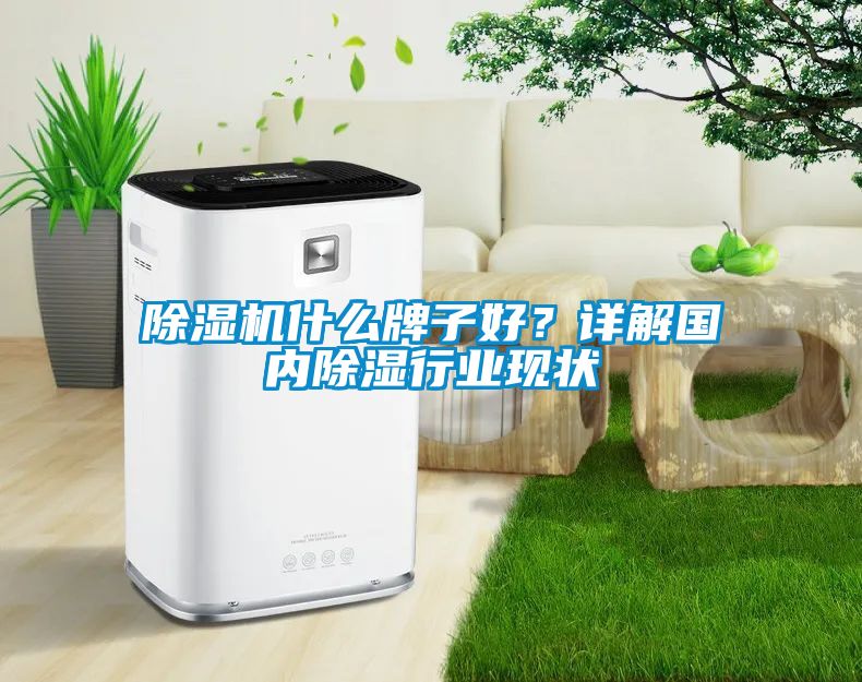 除濕機(jī)什么牌子好？詳解國內(nèi)除濕行業(yè)現(xiàn)狀