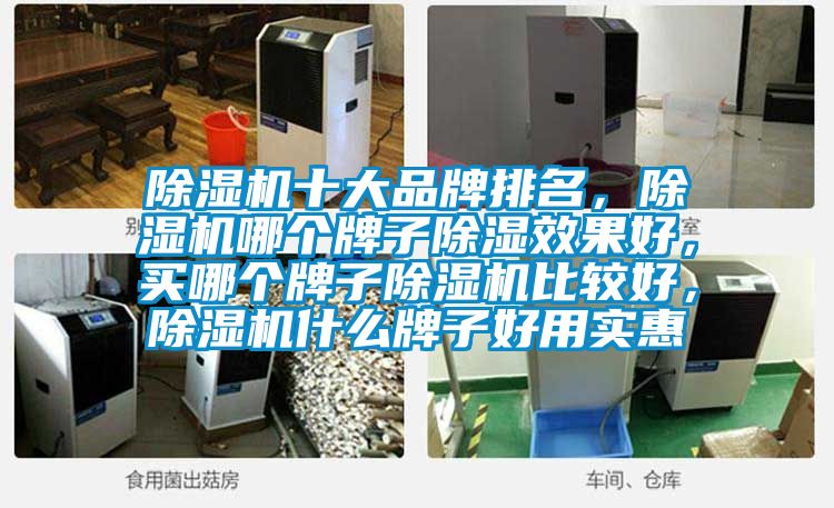 除濕機十大品牌排名，除濕機哪個牌子除濕效果好，買哪個牌子除濕機比較好，除濕機什么牌子好用實惠