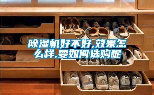 除濕機(jī)好不好,效果怎么樣,要如何選購呢