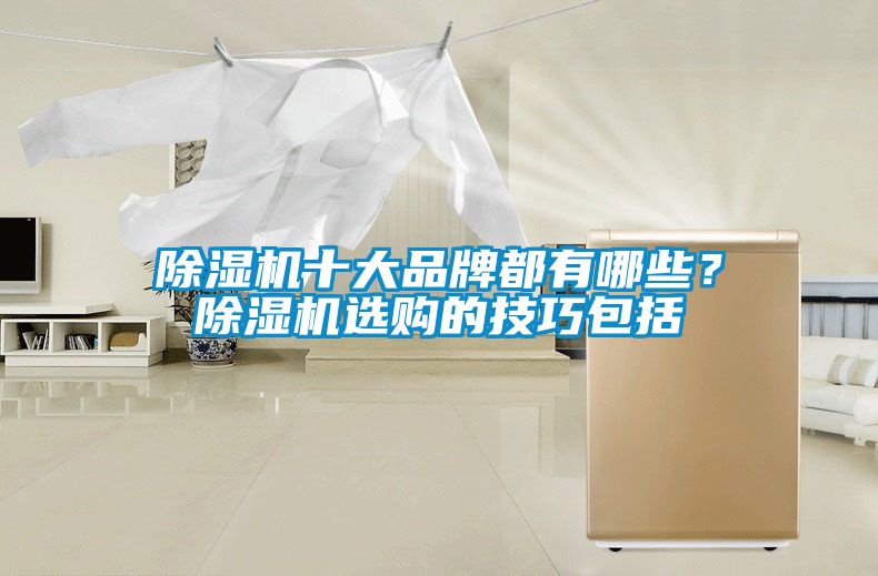 除濕機十大品牌都有哪些？除濕機選購的技巧包括